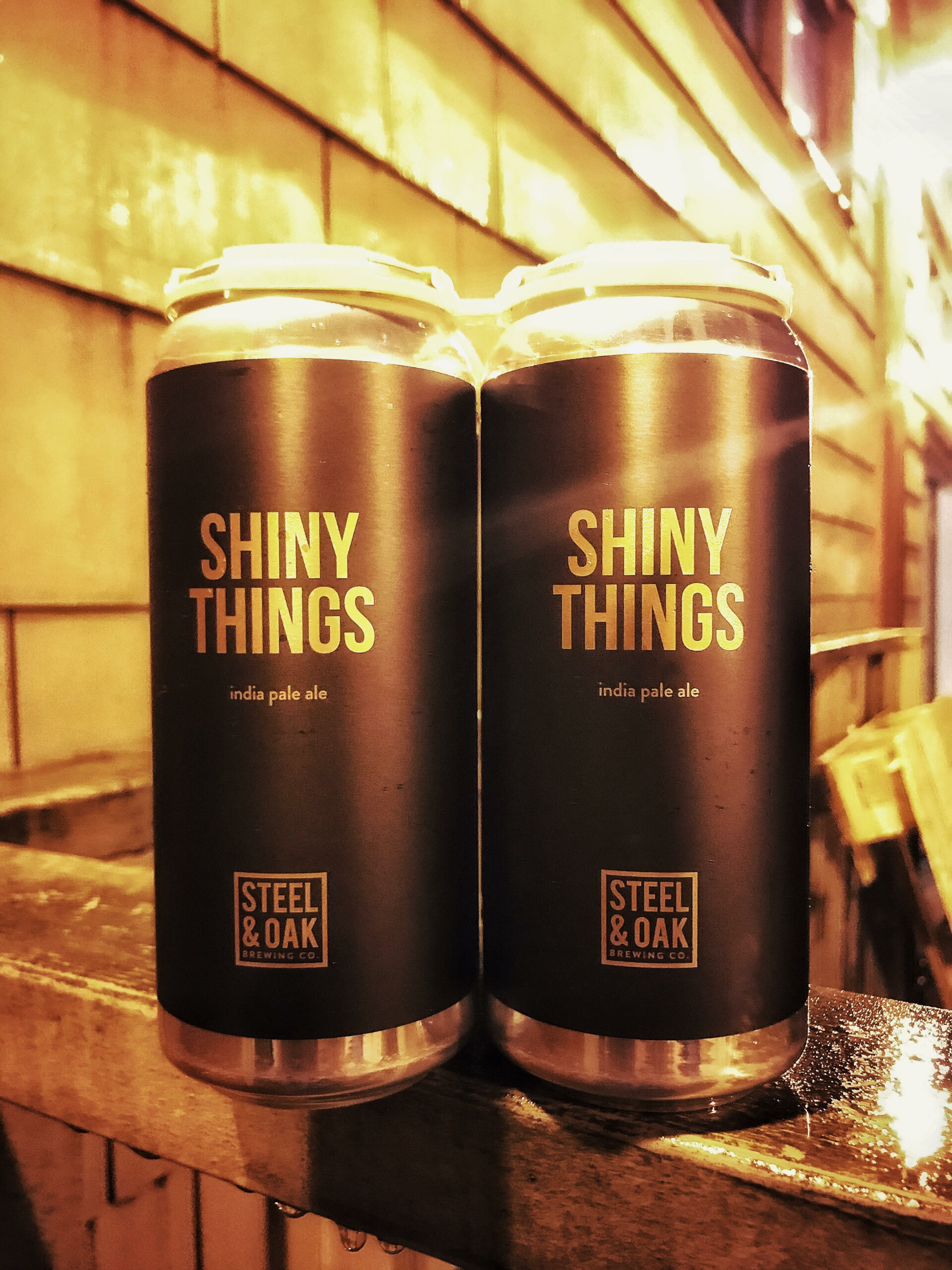 Shiny Things - Steel & Oak Brewing Co.